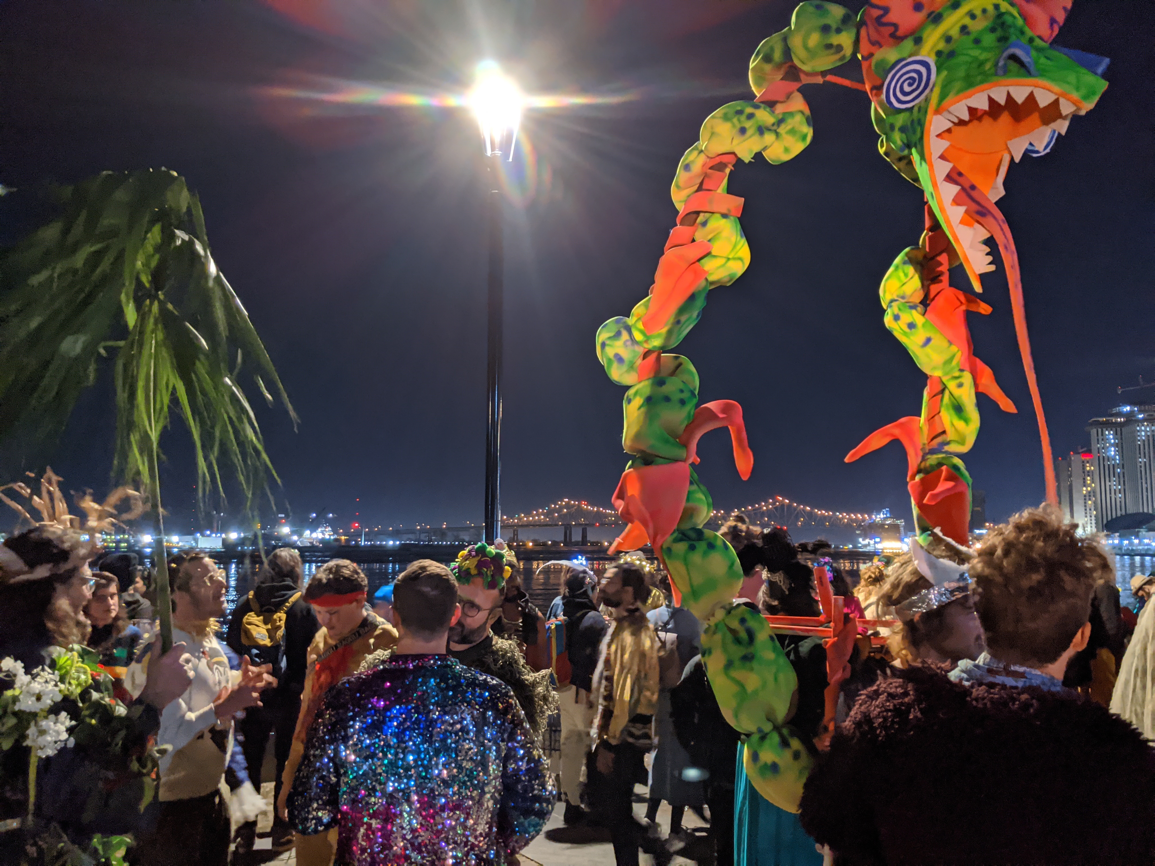 Travel Blog - Locals dressed up in various colourful costumes and partying on the harbour on Fat Tuesday for the end of Mardi Gras in New Orleans - NOLA 