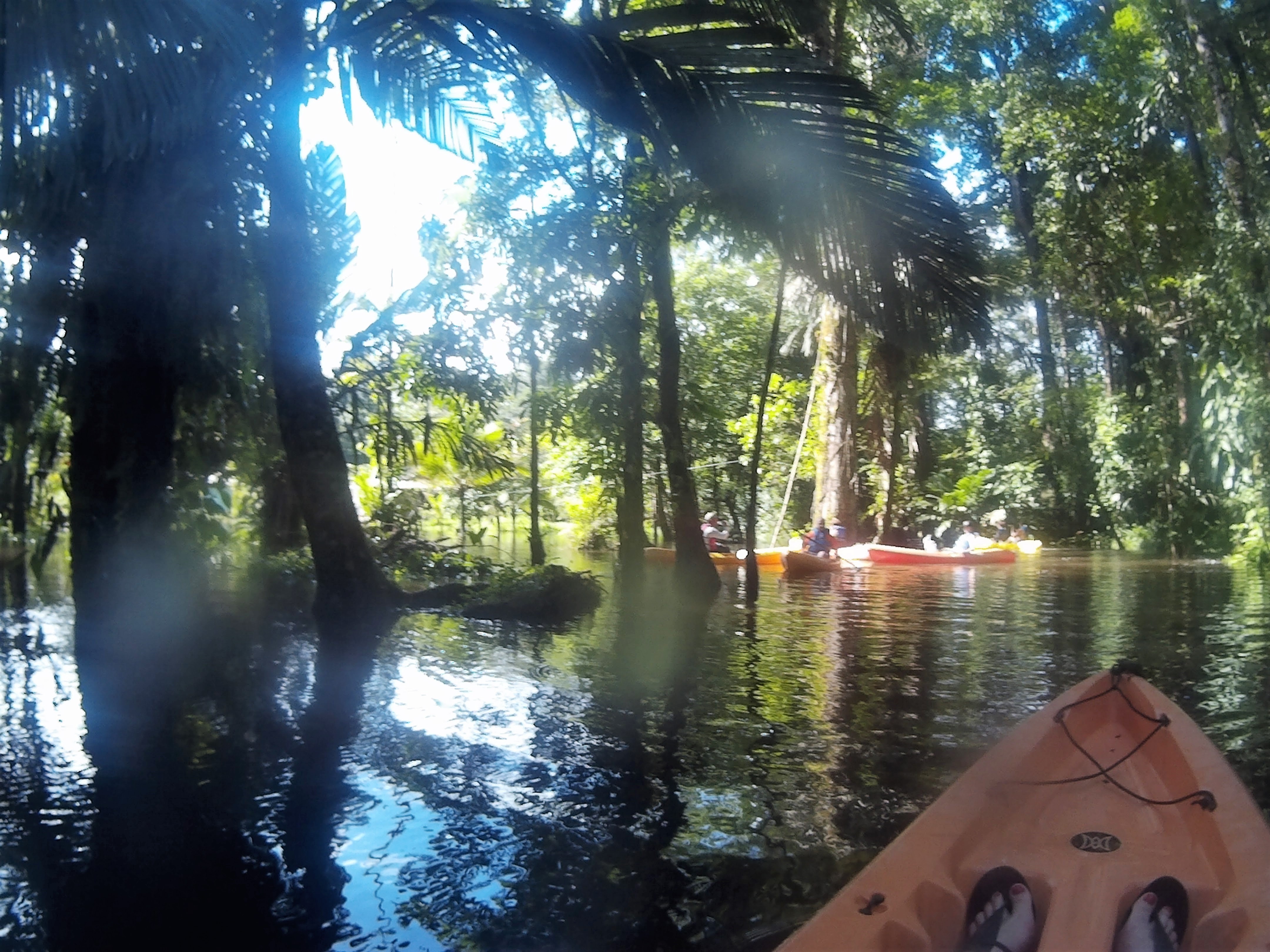 Top adventurous things to do in Costa Rica - kayaking through the jungle with the sun coming through the leaves