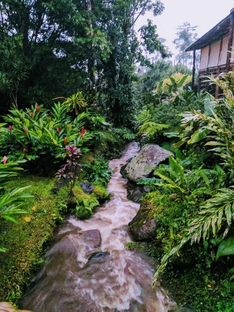 Things to do in Arenal Costa Rica - beautiful garden with a jungle feel at the hot springs