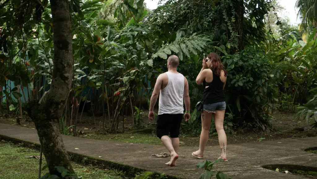 Pros and Cons of Group Tours - Two travellers walk together through a very leafy jungle lodge 