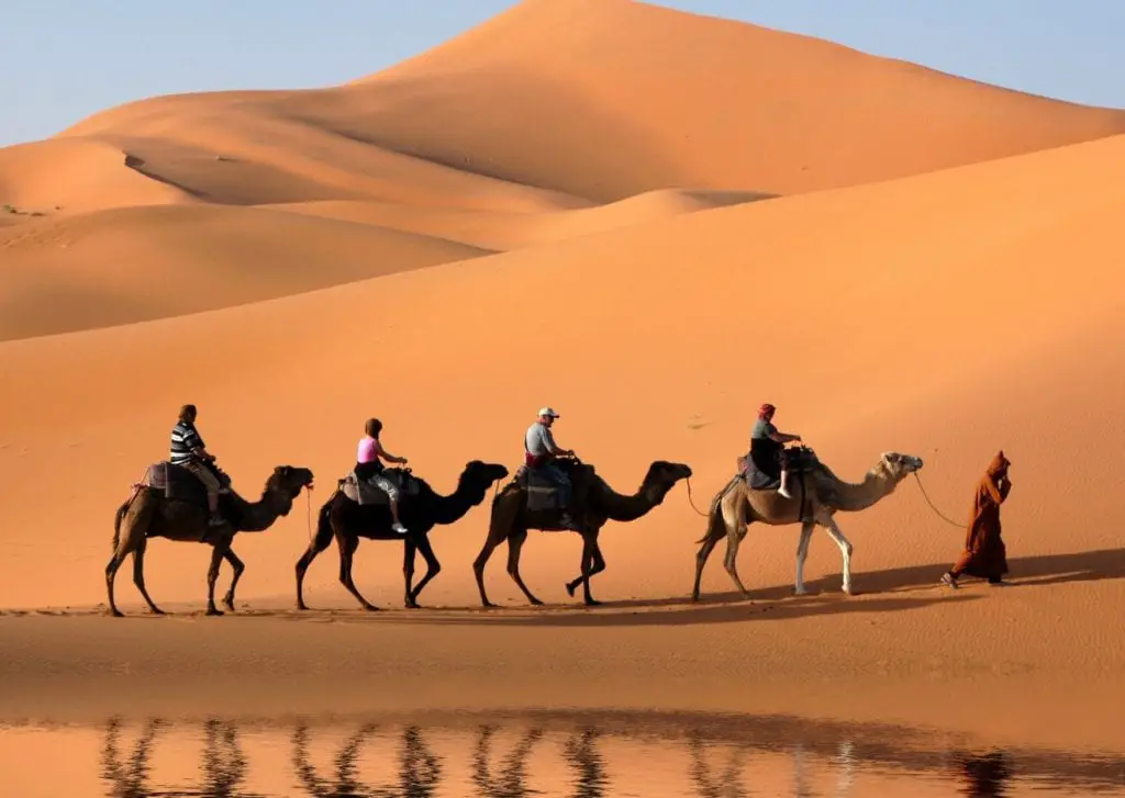 Epic things to do in Marrakech - a trail of people riding camels across the red sands of the Sahara desert 