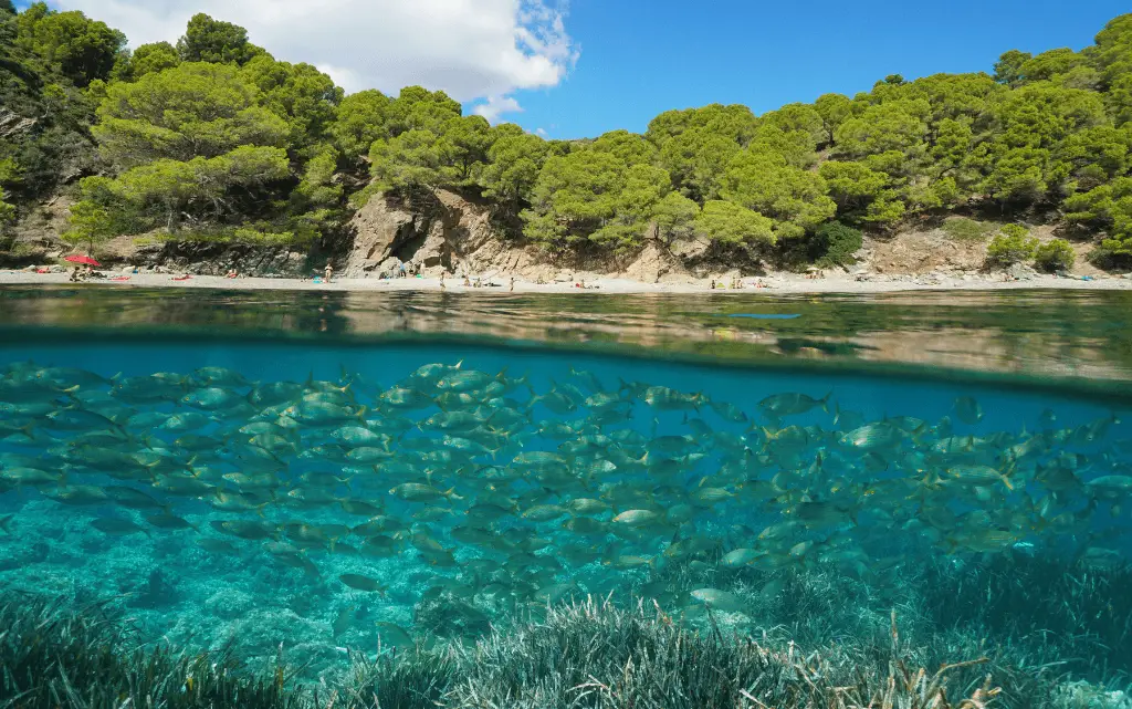 Discover the 10 Best Places to Snorkel in Europe
