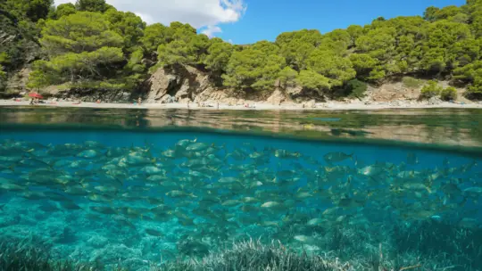 Discover the 10 Best Places to Snorkel in  Europe