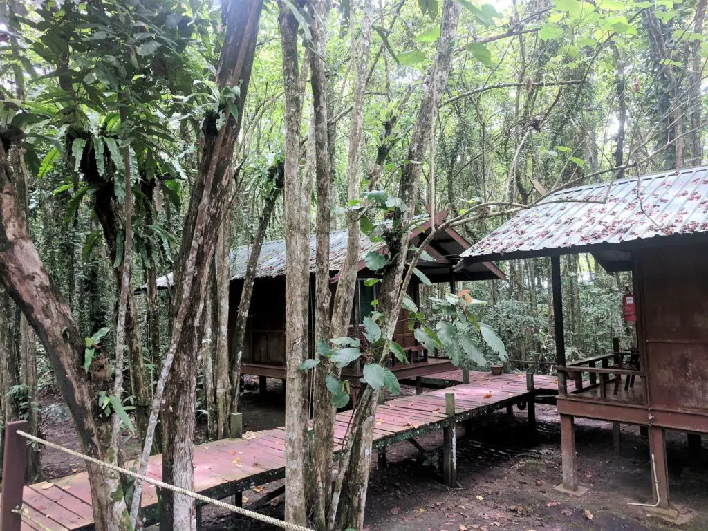 Kinabatangan River Accommodation at an eco-lodge cabin 