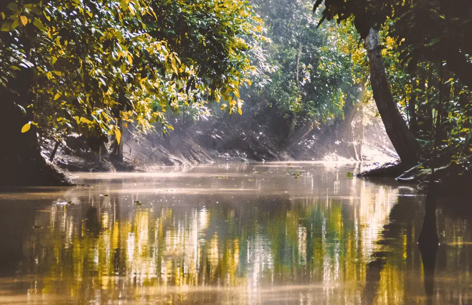 best places to travel in asia in march, Kinabatangan River, Borneo