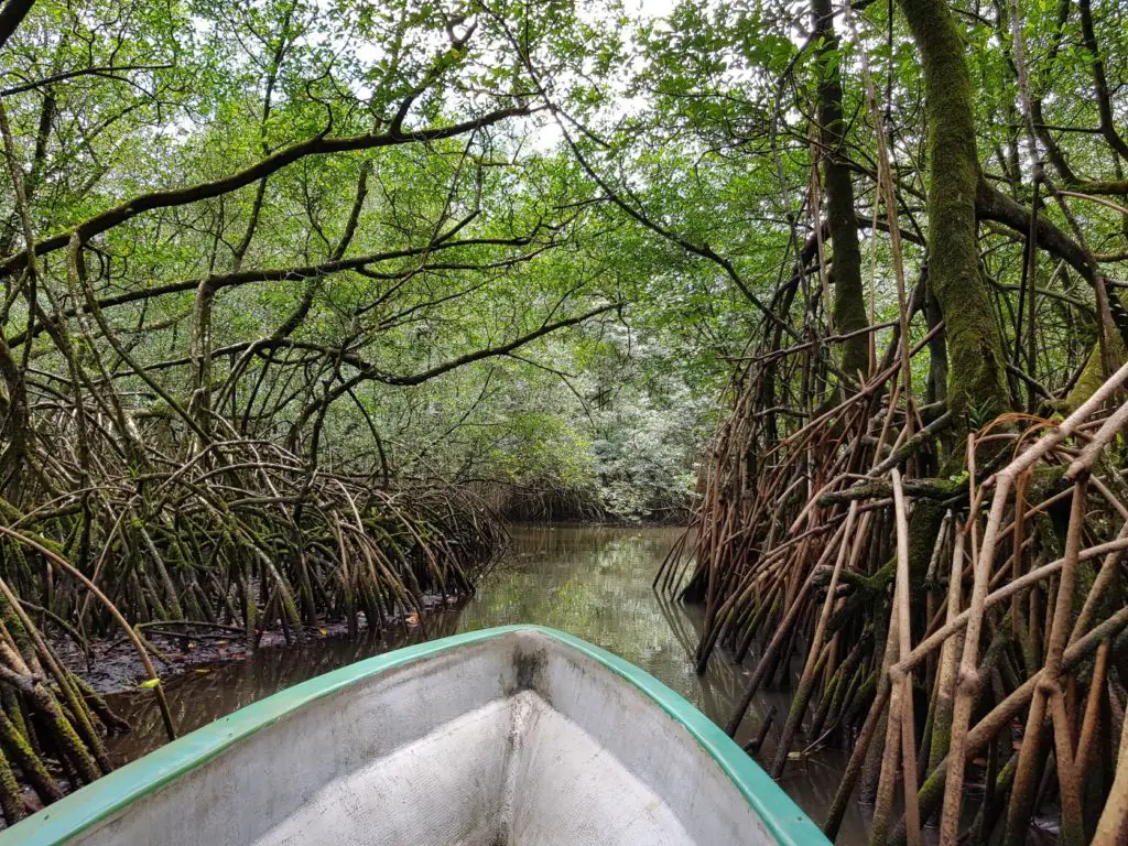 Best adventure honeymoon destinations - San Tome and Principe Kayaking through Mangroves