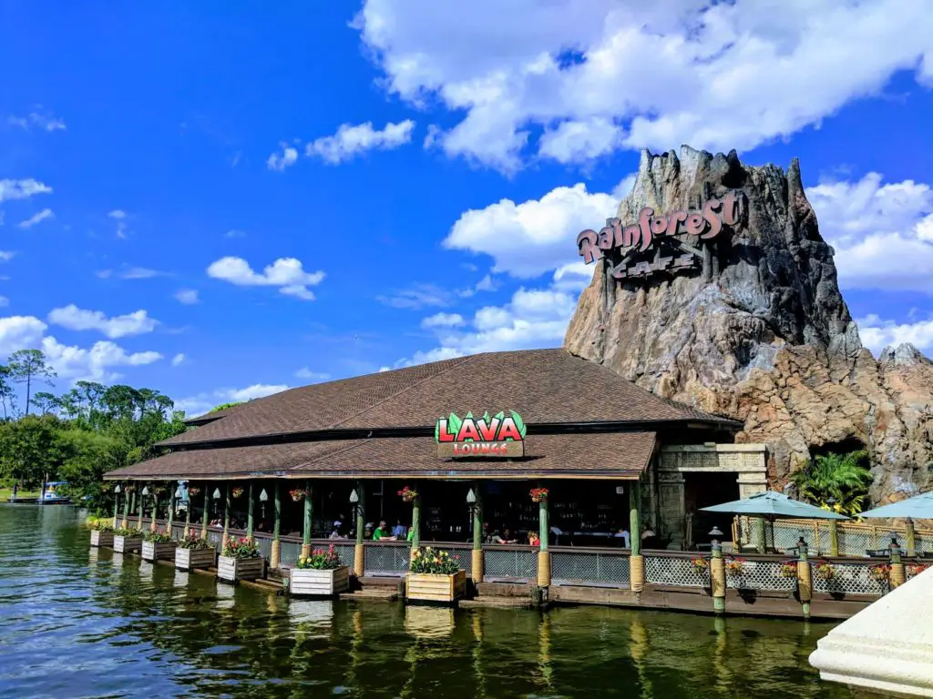 Things to do in orlando alone, rainforest cafe at Disney Springs