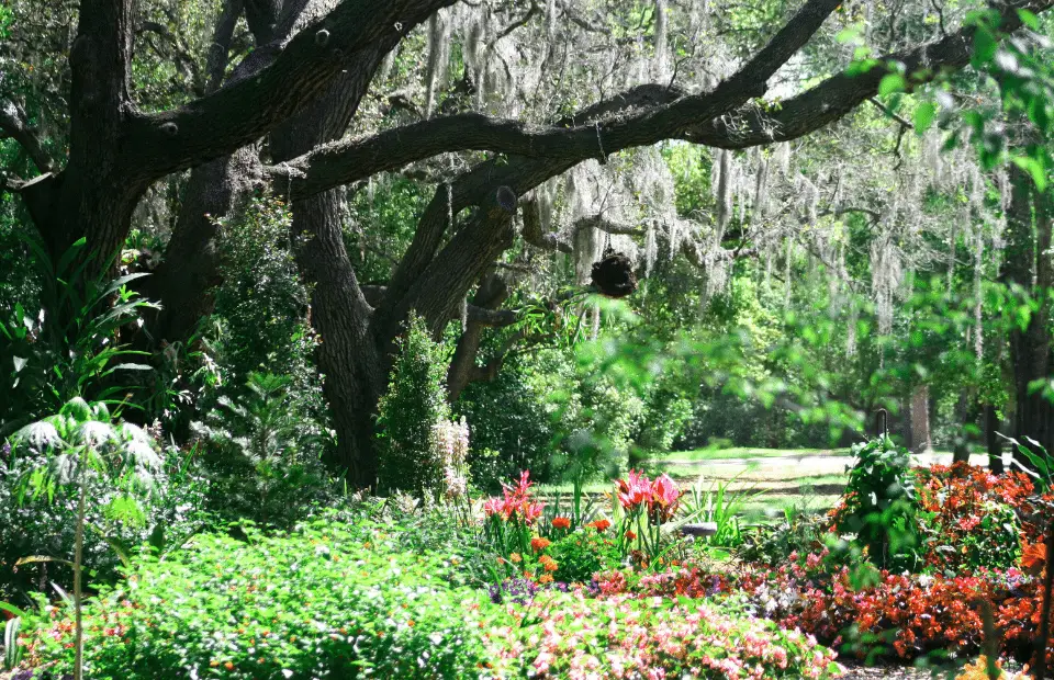 Things to do in Orlando alone - mead botanical gardens