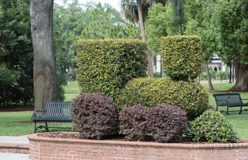 Things to do in orlando alone, winter park stream engine shaped bush