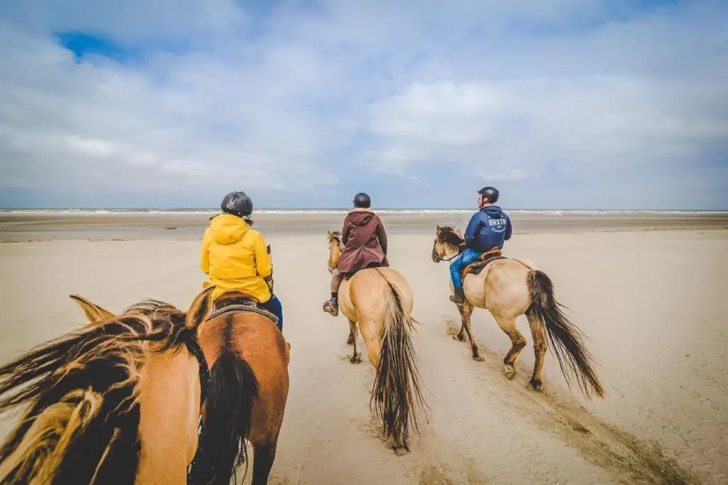 Honeymoon in France - Baie de Somme