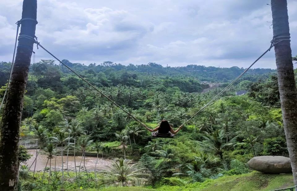 Bali Swing Ubud, Highest Swing