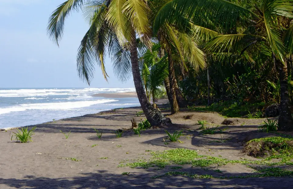 tours to tortuguero from san jose, the black beach of the tortuguero national park