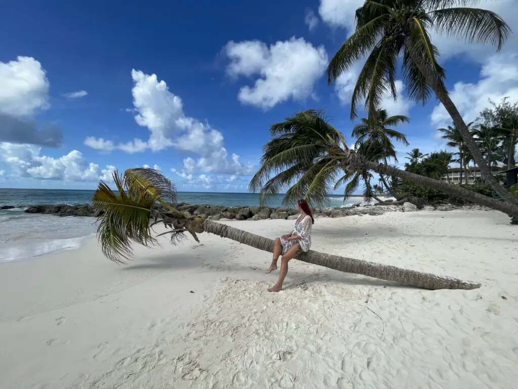 Sandals Barbados reviews - dover beach