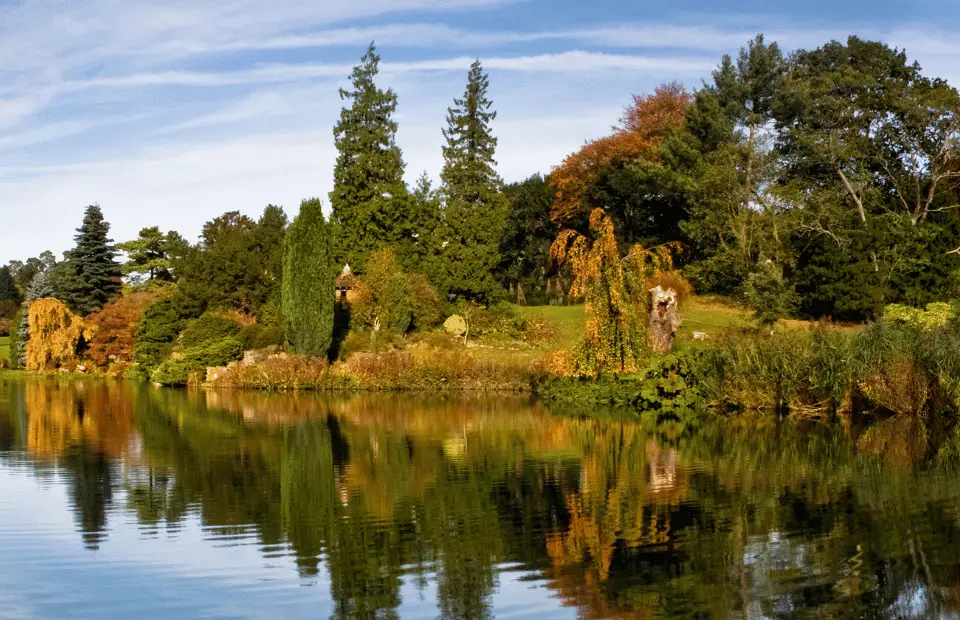 Things to do in Kings Lynn - Sandringham Gardens Mirrored Lake