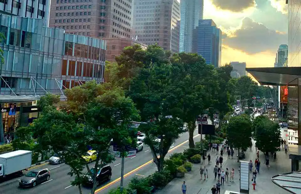 Orchard Road Attractions - a shopping street with trees at dusk