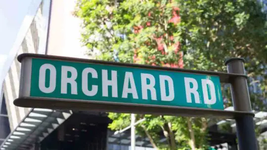 Discover the Top Orchard Road Attractions and Activities in Singapore